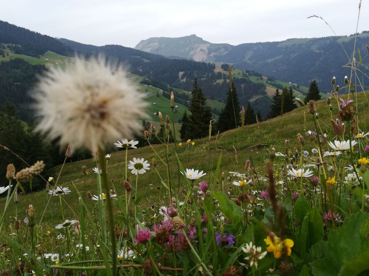 Aussicht oberhalb vom Dorf