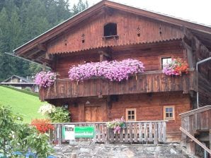 Boerderij Vakantiehut Donnerhäusl - Hippach - image1