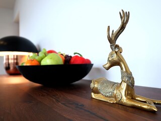 Appartamento per vacanze Hollersbach im Pinzgau Caratteristiche 21