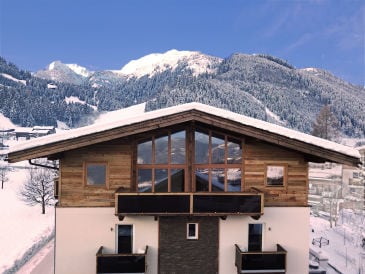 Ferienwohnung Alpin Penthouse