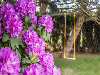 Villa Mostek Outdoor Recording 16