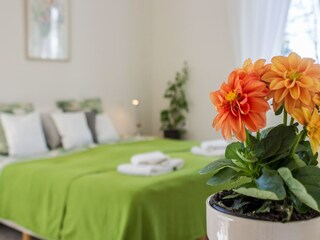 Villa Mostek Caratteristiche 29