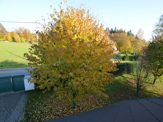 Villa Mostek Außenaufnahme 9