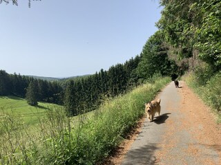 Casa de vacaciones Winterberg Entorno 56