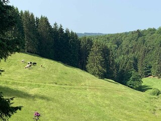 Casa de vacaciones Winterberg Grabación al aire libre 22