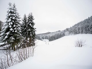 Casa de vacaciones Winterberg Entorno 55