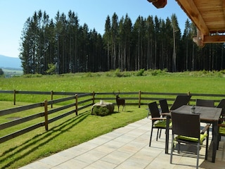 Terrasse mit Blick auf den Wald