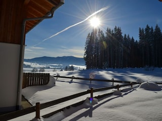 Gartenblick