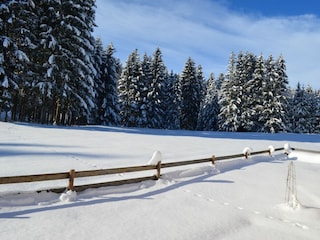 Gartenblick