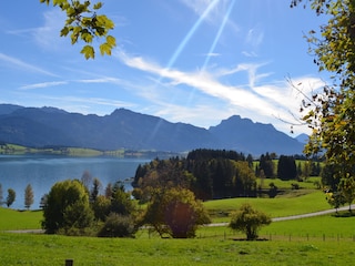 Forggensee