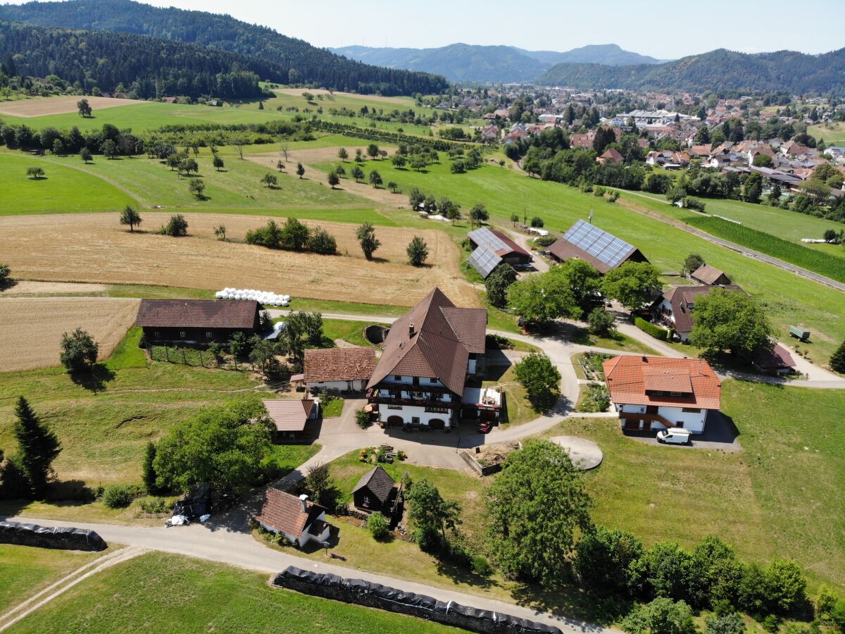 Ferienwohnung Eckwaldblick Auf Dem Hugeseppehof Zell Am