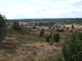 Am Wilseder Berg, Lüneburger Heide