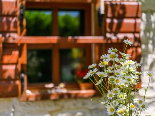 Casa per le vacanze Rakalj Registrazione all'aperto 12