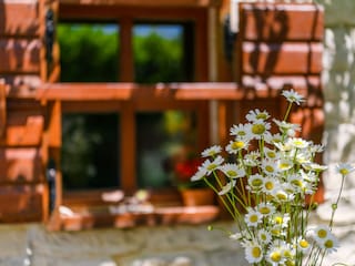 Ferienhaus Rakalj Außenaufnahme 12