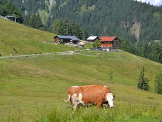 auf der Alm