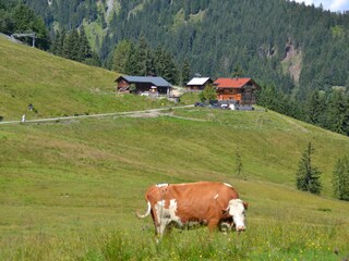 Capanna alpina Auffach  18