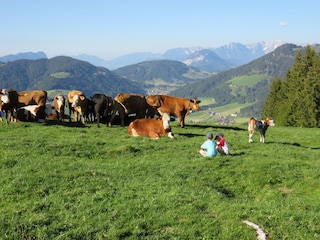 Idylle auf der Alm