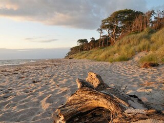 Holiday apartment Prerow Environment 26