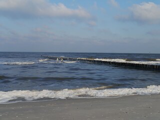 Holiday apartment Prerow Environment 28