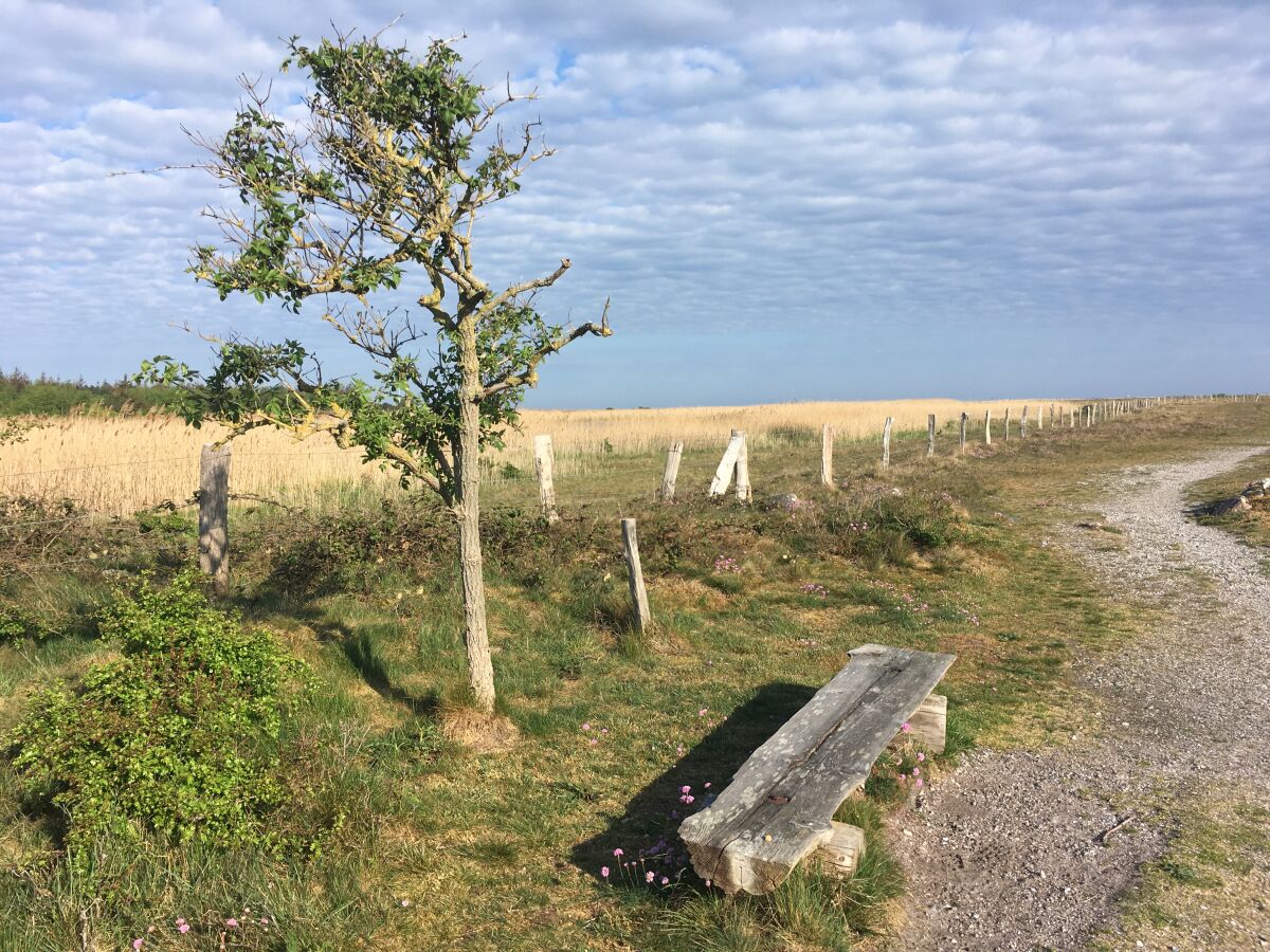 Naturschutzgebiet  Grüner Brink