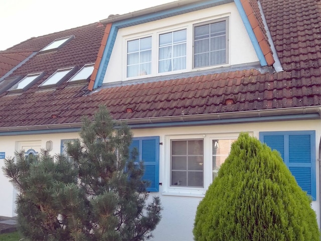 Ferienwohnung Prerow Außenaufnahme 5