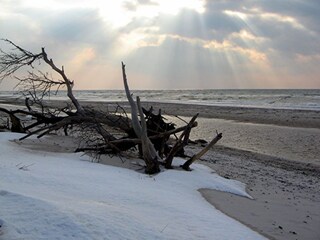 Ferienwohnung Prerow Umgebung 33