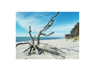 West-Strand