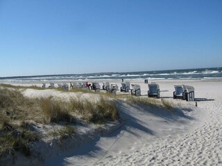 Holiday apartment Prerow Environment 23