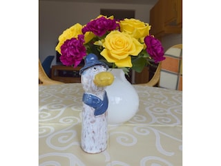 Ferienwohnung Prerow Außenaufnahme 19