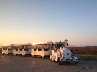 Holiday apartment Prerow Environment 33