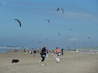 Strand Noordwijk