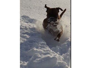 Appartamento per vacanze Winterberg Ambiente 31