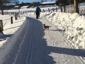 Ferienwohnung Haus Meiseneck Wg 4