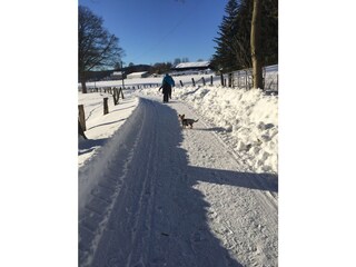 Appartamento per vacanze Winterberg Registrazione all'aperto 1