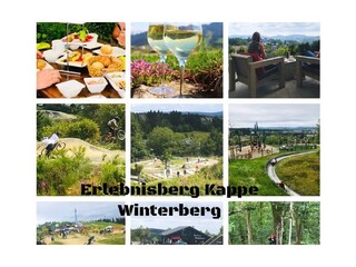 Appartement de vacances Winterberg Environnement 22