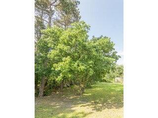 Vakantiehuis De Koog Buitenaudio-opname 5