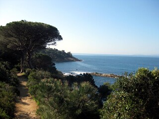 Appartamento per vacanze Cavalaire-sur-Mer Ambiente 16