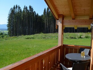 Balkon mit Berg, See und Waldblick