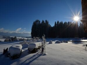 Ferienhaus Allgäuglück - Lechbruck am See - image1