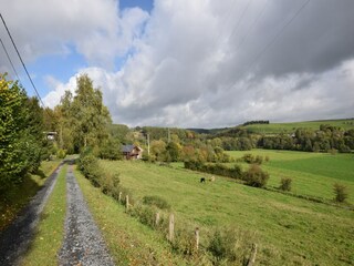 Holiday house Tenneville Outdoor Recording 4