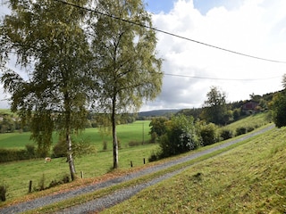 Ferienhaus Tenneville Außenaufnahme 3
