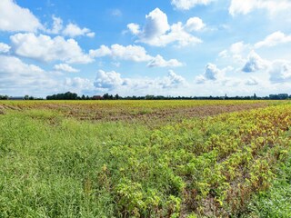 Casa de vacaciones Kemmel Entorno 34