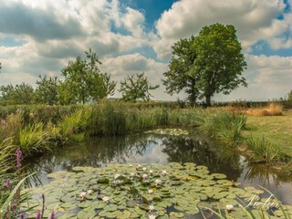 Vakantiehuis Kemmel Omgeving 27