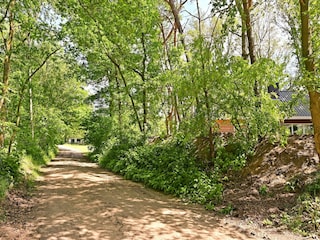 Maison de vacances Ootmarsum Enregistrement extérieur 8