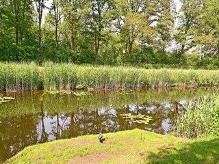 Casa de vacaciones Ootmarsum Entorno 35
