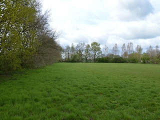 Ferienhaus Ootmarsum Außenaufnahme 7