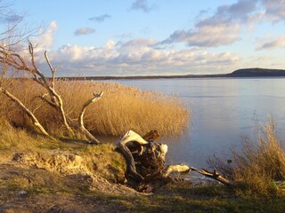 Boddenlandschaft bei Glowe