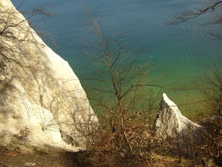 Kreidefelsen im Nationalpark Jasmund