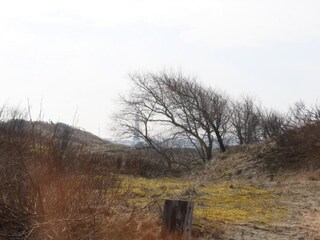 Appartement de vacances Borkum Enregistrement extérieur 4