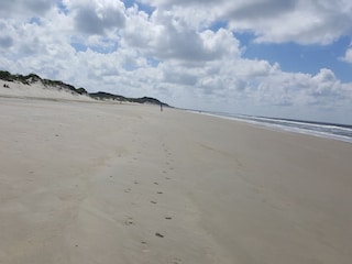 Appartement de vacances Borkum Environnement 25